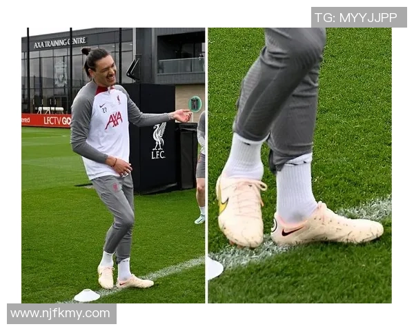 全球足球鞋品牌与球星影响力排行榜分析与探讨